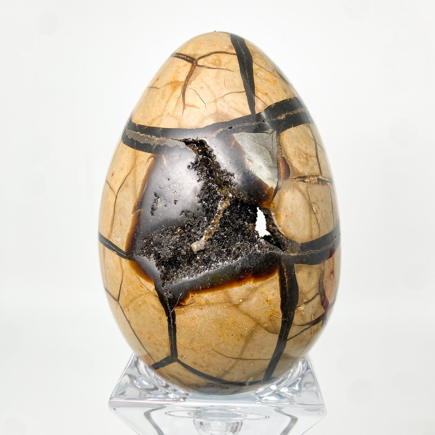 Septarian stone egg