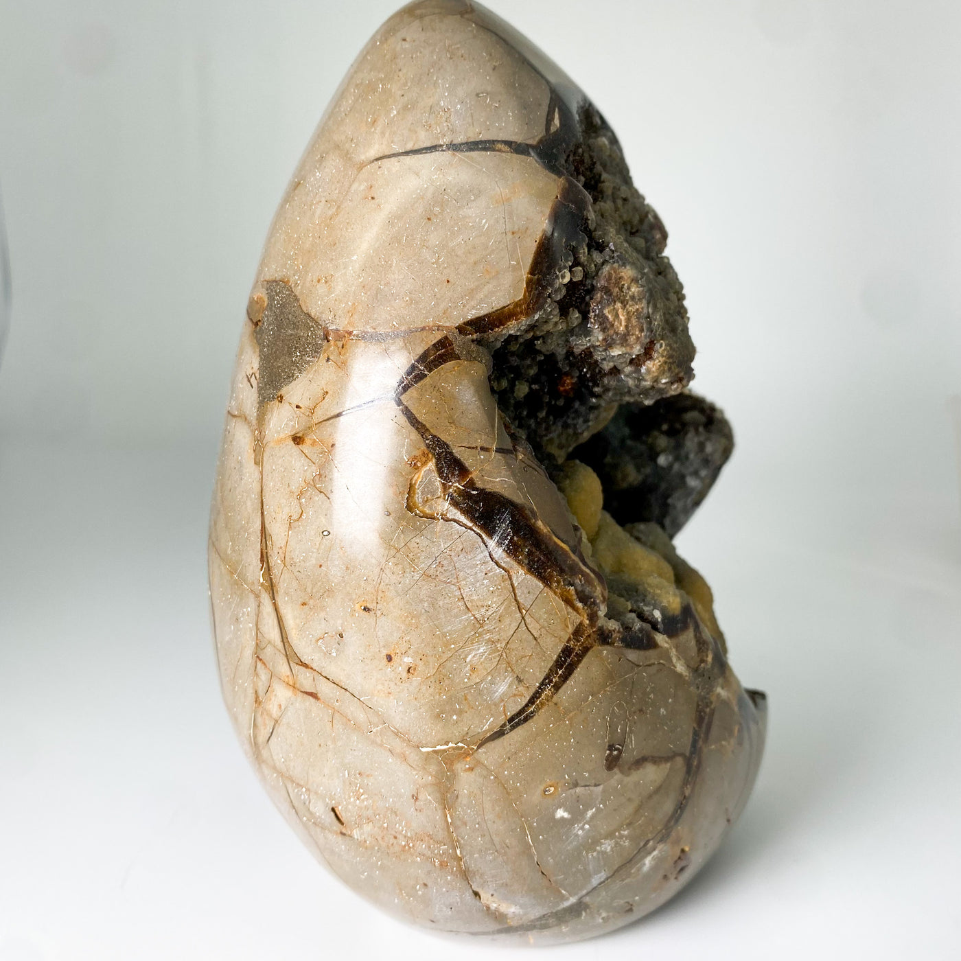 Septarian Stone egg