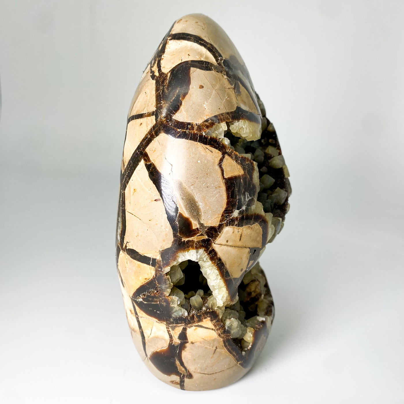 Septarian stone egg