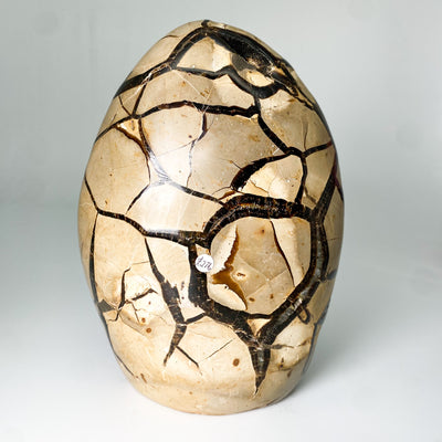 Septarian stone egg