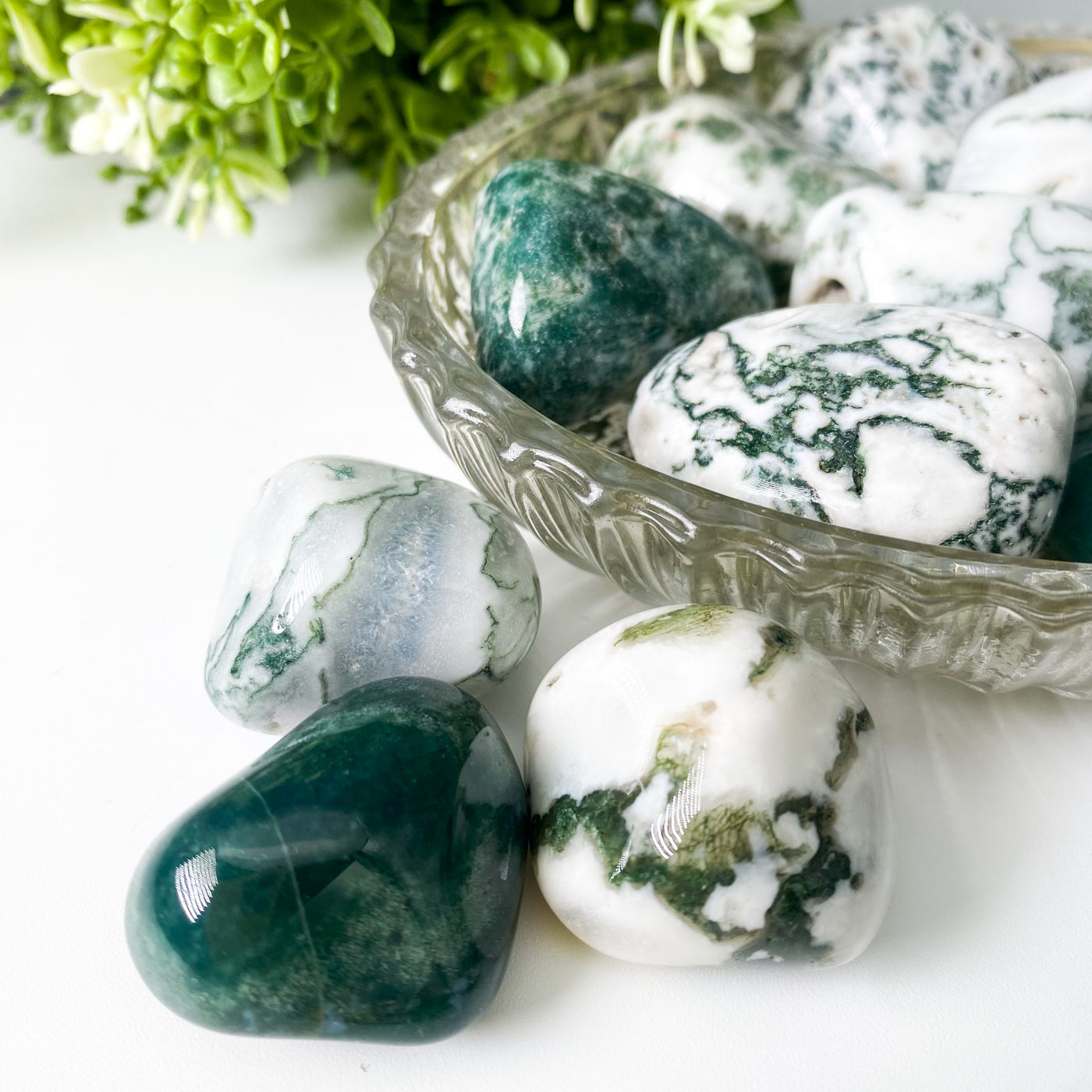 Tree Agate tumbles