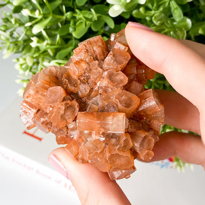 Raw Aragonite