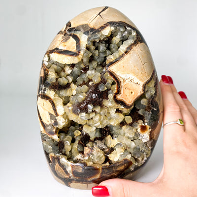 Septarian stone egg