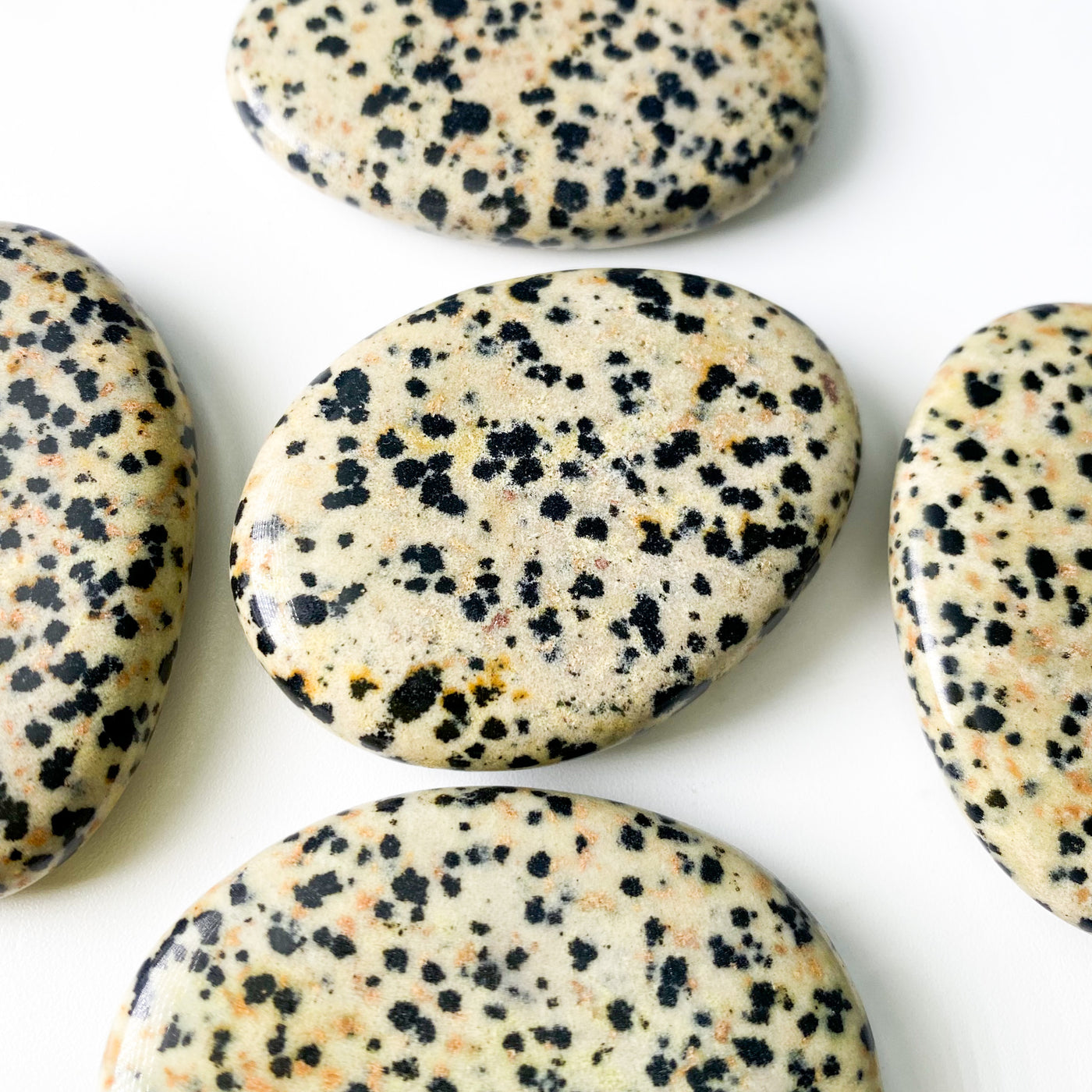 Dalmatian Jasper palm stone