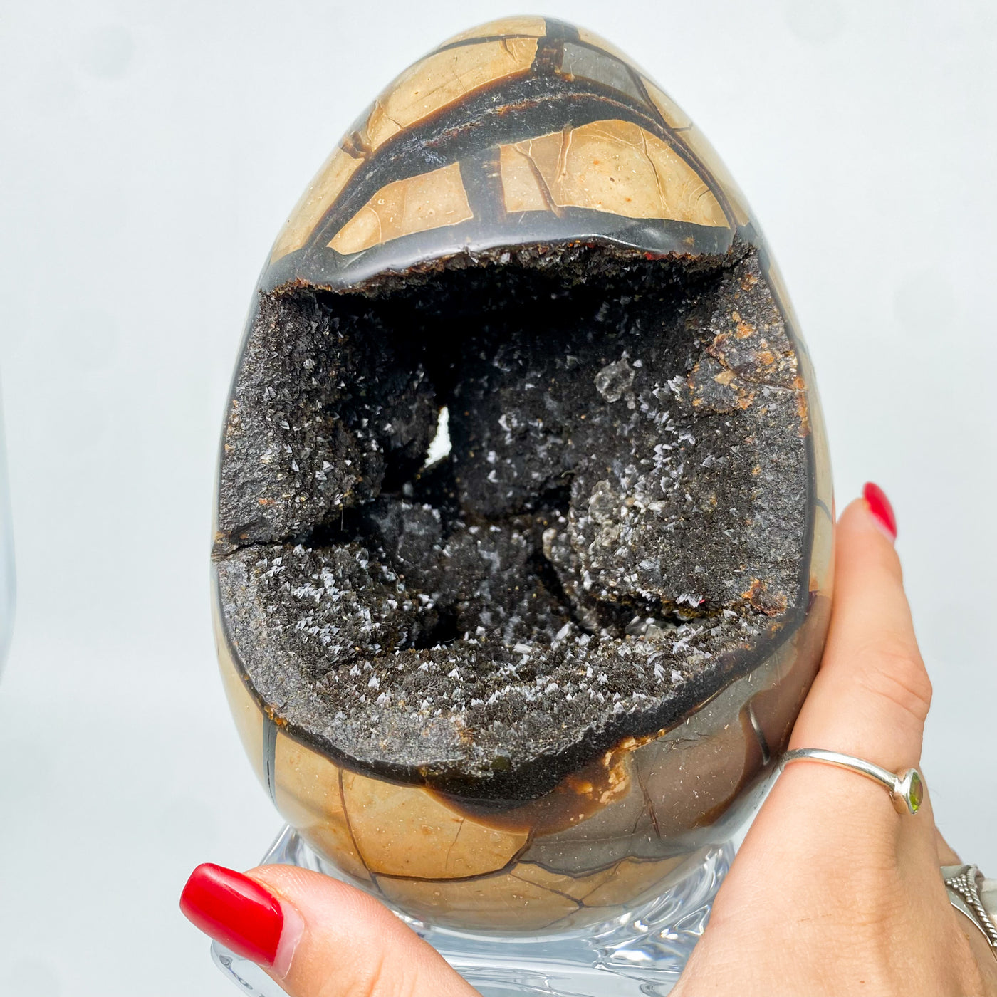 Septarian stone egg