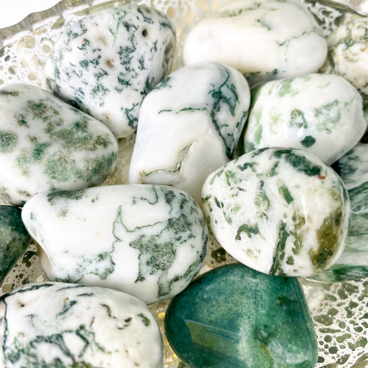 Tree Agate tumbles