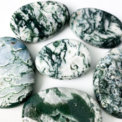 Tree Agate palm stone