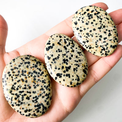 Dalmatian Jasper palm stone