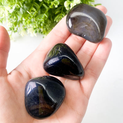 Black Agate tumble