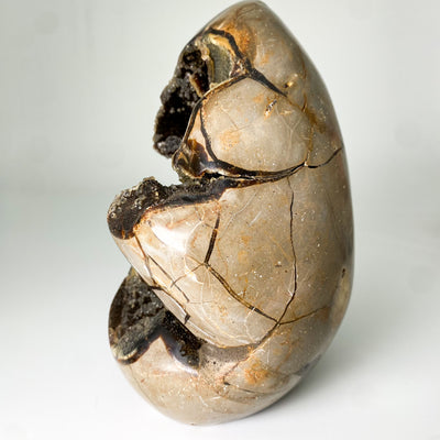 Septarian Stone egg