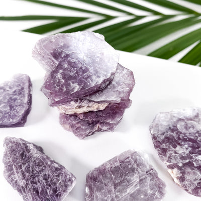 Mini Raw Lepidolite Slabs