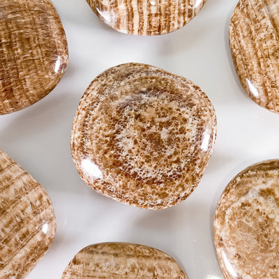 Aragonite Palm Stone for Discipline