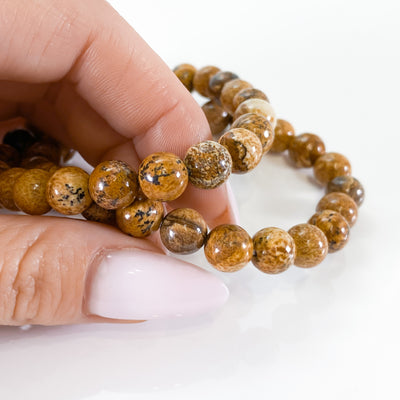 Picture Jasper Bracelet for Harmony