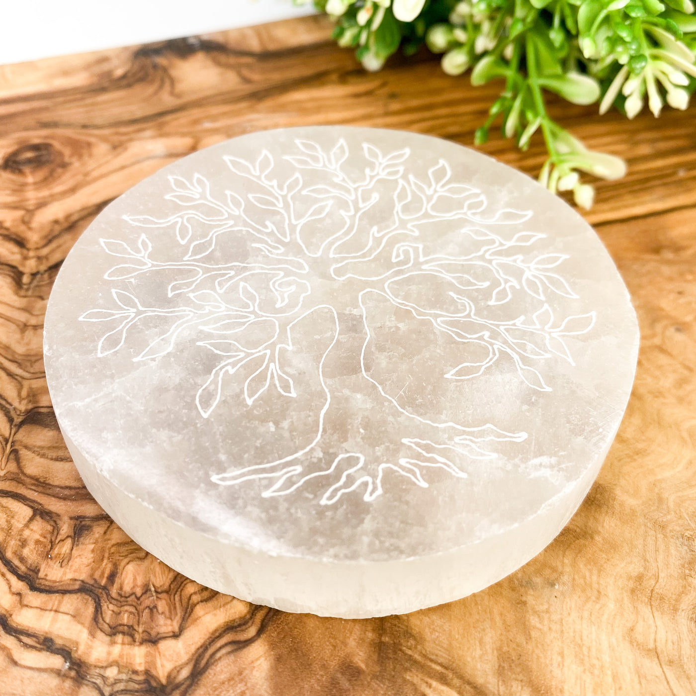 Tree of Life Selenite charging plate