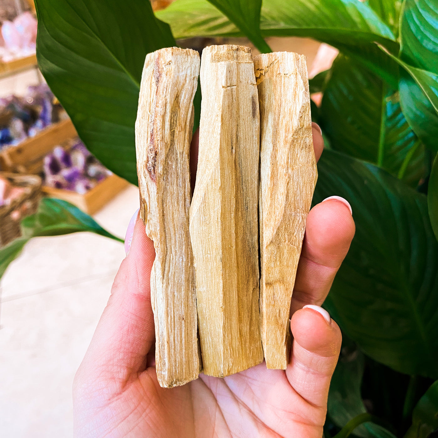 Cleansing Palo Santo Wooden Stick