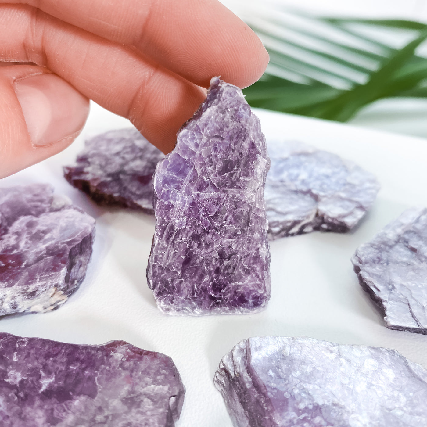 Mini Raw Lepidolite Slabs