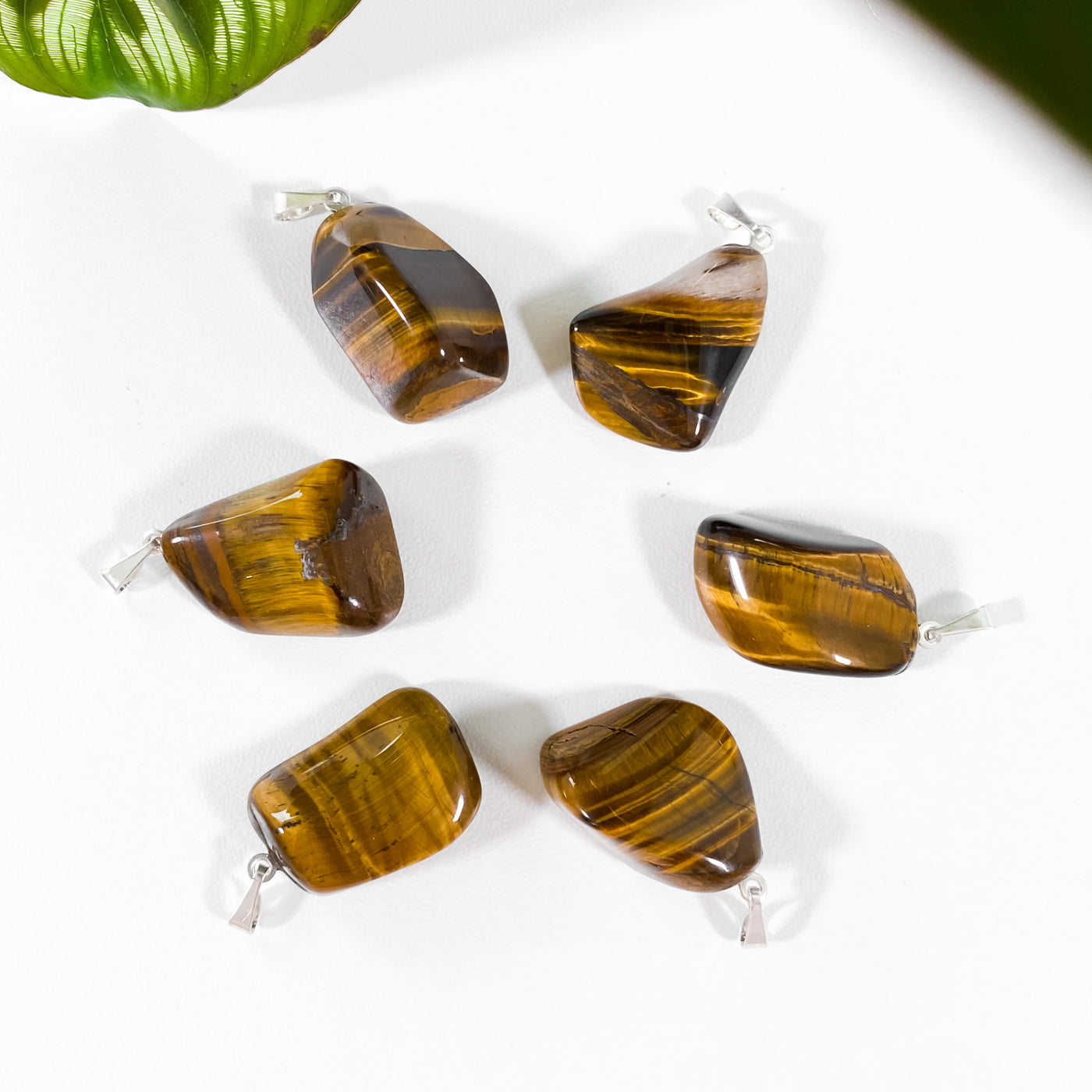 Brave Soul Tiger's Eye Pendant