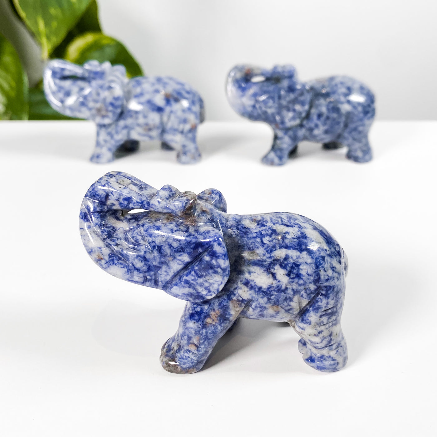 Large Sodalite Elephant