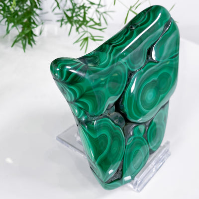 Hand-polished Premium Quality Malachite for Forgiveness