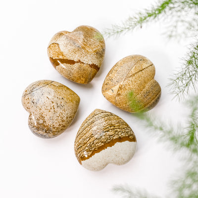 Grounding Picture Jasper Heart