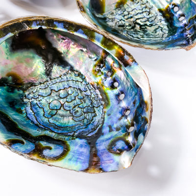 🐚 Abalone Shell Crystal tray or incense burner (Type B)