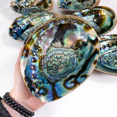 🐚 Abalone Shell Crystal tray or incense burner (Type B)
