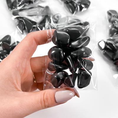 Protective Tumbled Shungite (POUCH)
