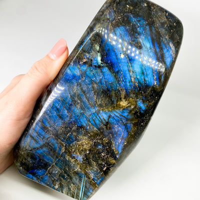 Standing Labradorite cluster