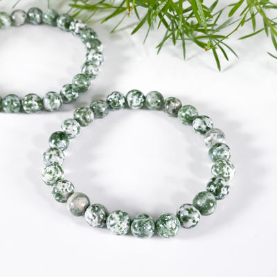 🌳 Tree Agate Bracelet for Wisdom in Relationships