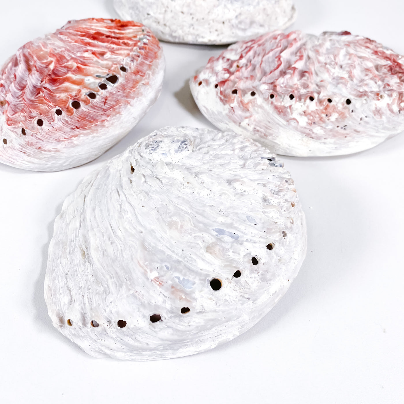 Abalone Shell Crystal Tray or Incense Burner (Type A)
