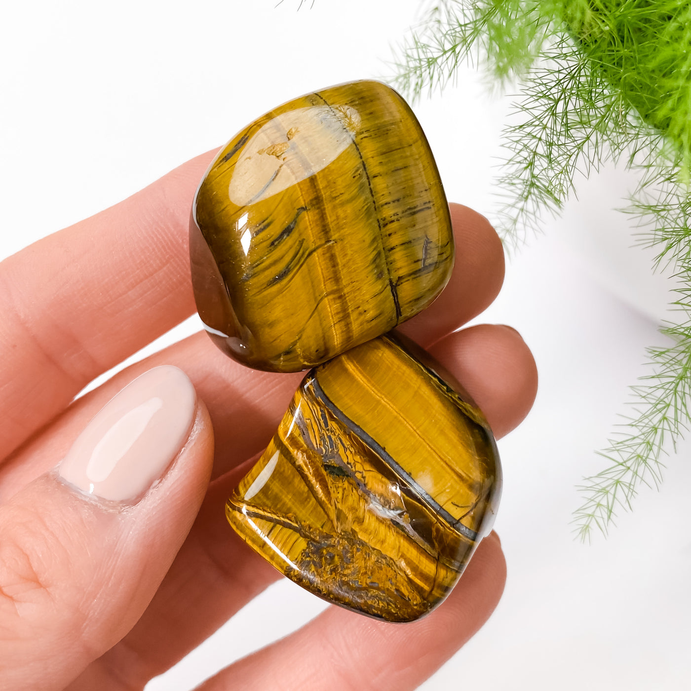 🐯 Tumbled Tiger's Eye for Courage