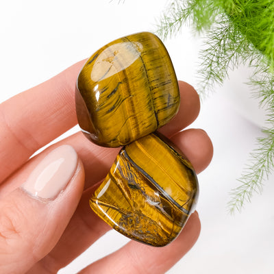 🐯 Tumbled Tiger's Eye for Courage