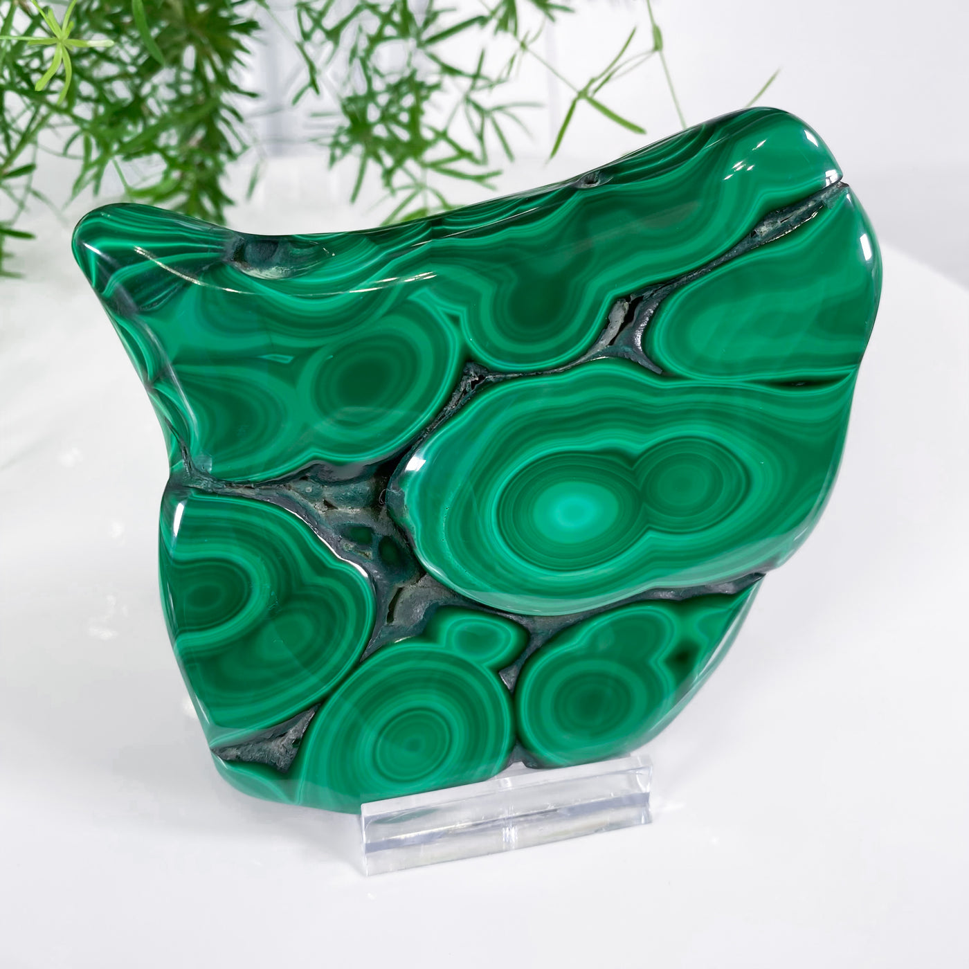 Hand-polished Premium Quality Malachite for Forgiveness