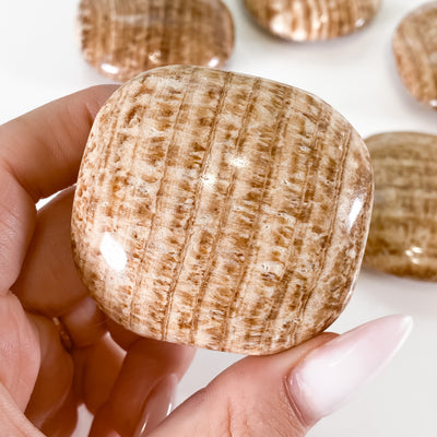 Aragonite Palm Stone for Discipline