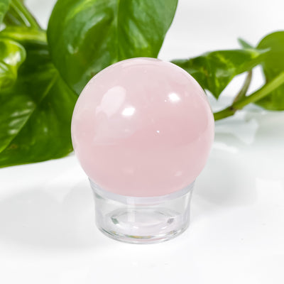 Clear Sphere Stand
