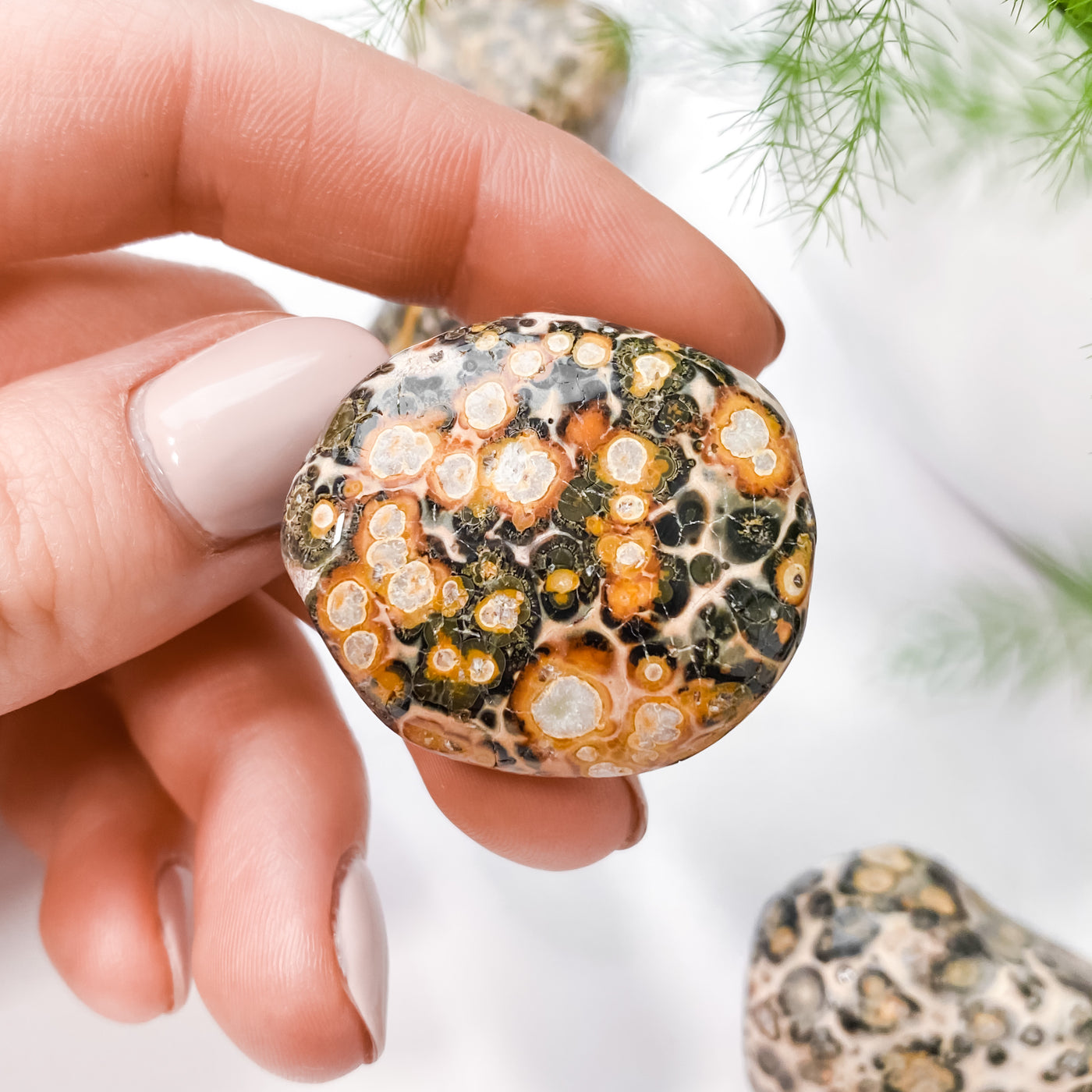 🐆 Tumbled Leopard Jasper for Emotional Balance