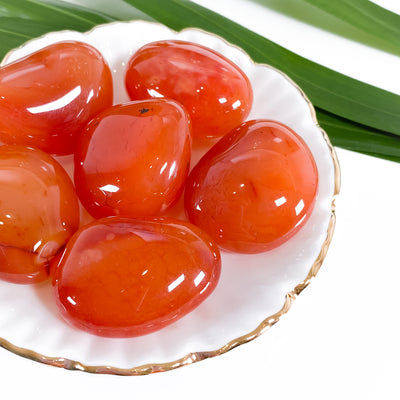Premium Quality Tumbled Carnelian for Confidence