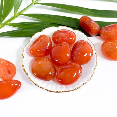 Premium Quality Tumbled Carnelian for Confidence